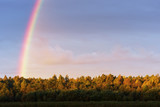 Rainbow over farm field and forest