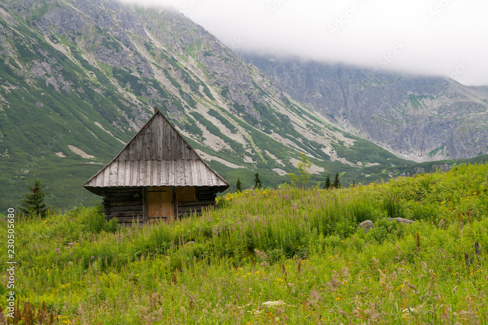 Hala Gąsiennicowa valley in Tatra mountains