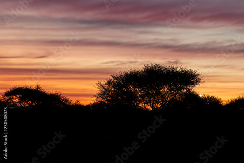 Colorful sunset in the Bushveld