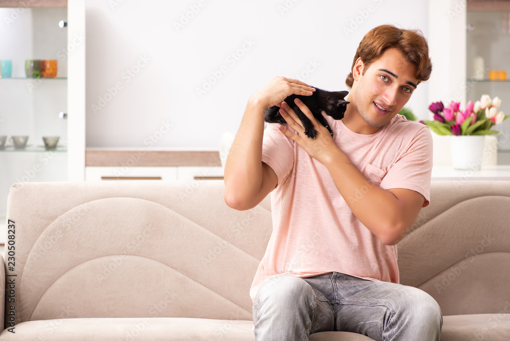Young man playing with kitten at home Young man playing with kitten at home