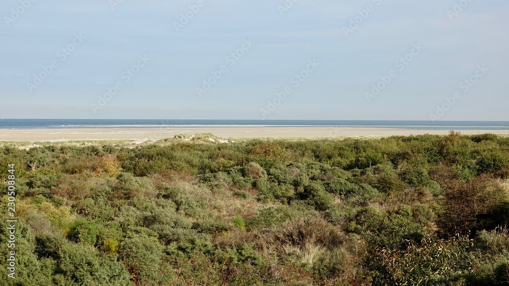 Fototapeta premium Dünenlandschaft am Meer in Zeeland, Niederlande