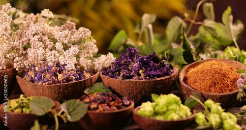 Natural medicine, herbs