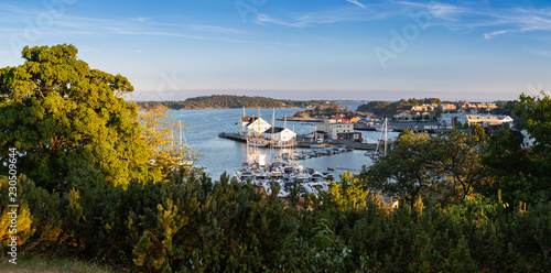 Panoramic view over harbor from a hill