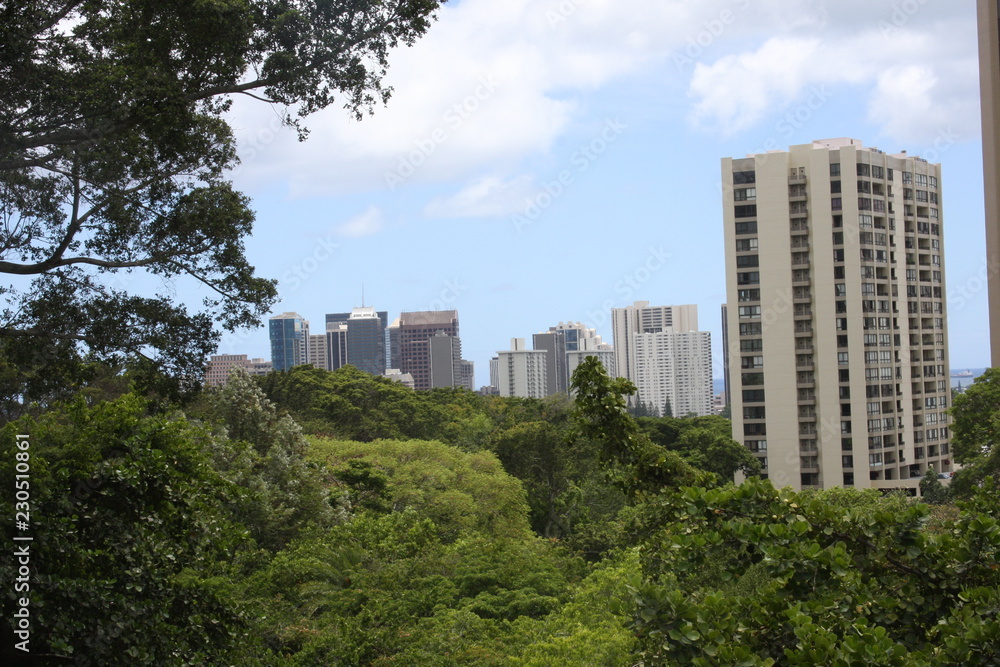 Oahu Skyline