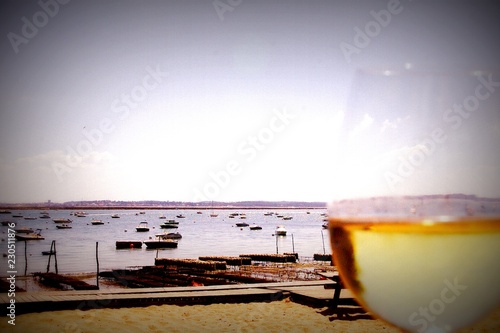 Le vin blanc du bassin