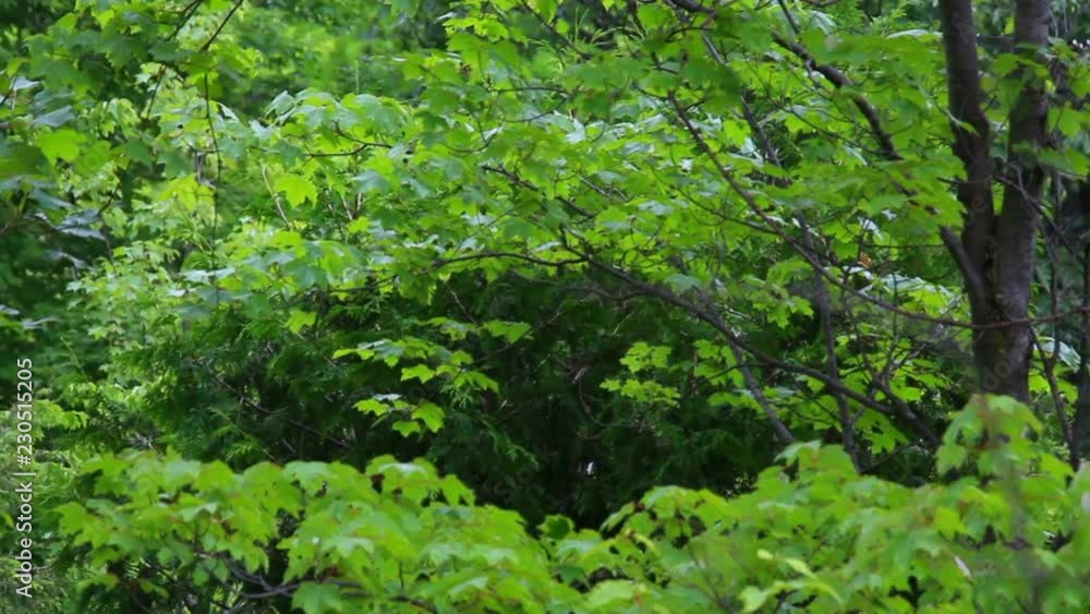 Smooth shot of the peaceful beauty in nature Smooth shot of the peaceful beauty in nature