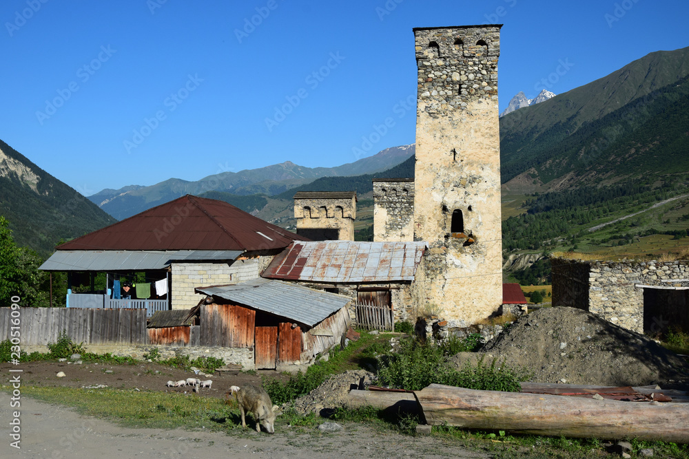 Adishi is a remote village just below Adishi glacier close to Mestia is a highland town in Svaneti region in the Caucasus Mountains, Georgia, It is dominated by stone defensive towers (Svan towers).