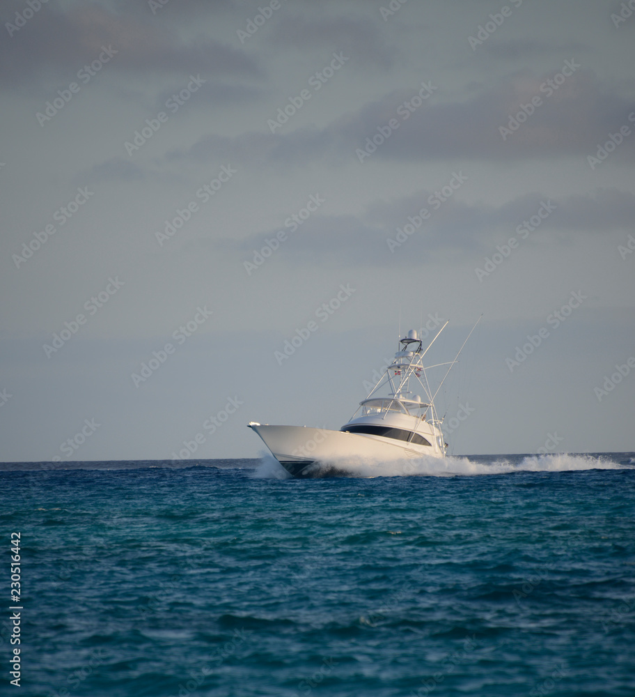 Fototapeta premium Deep sea fishing