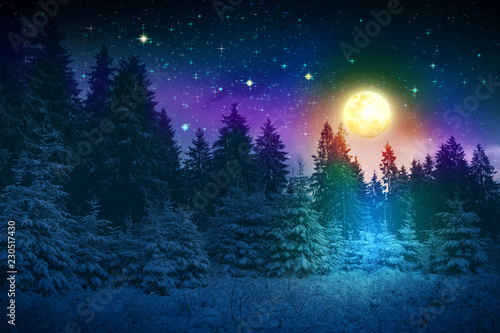 Winter landscape with snow covered fir trees and full moon.