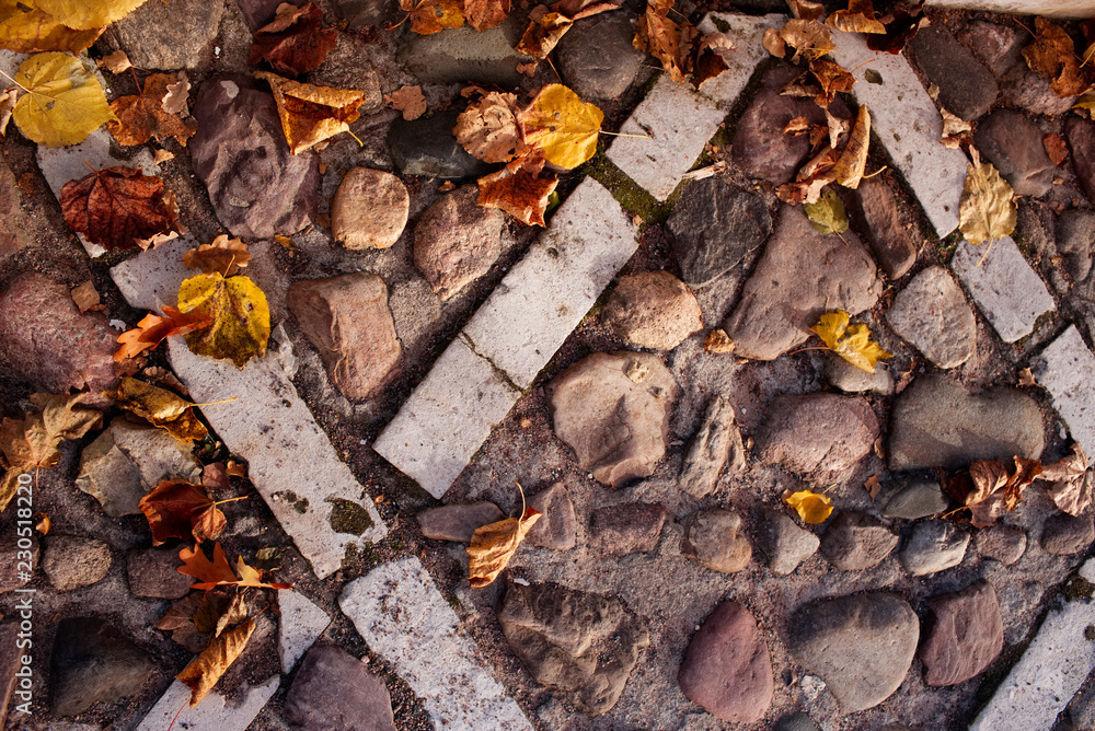 Beautiful background with autumn foliage. Foliage on the old pavement. Abstract background.