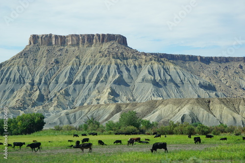 USA National Parks