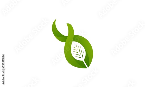 leaf green