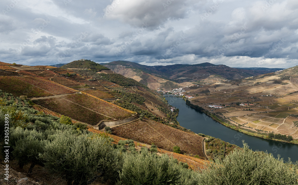 Naklejka premium Douro - Portugal
