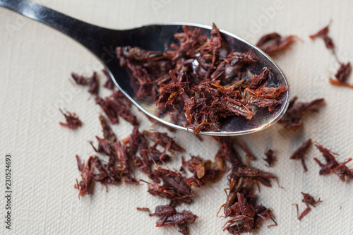 Spoon of Chapulines, toasted grasshoppers photo