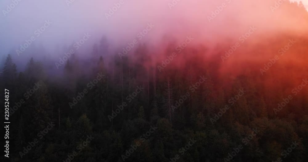 Mist over Carpathian Mountains, Illuminated in Dawn Light Mist over Carpathian Mountains, Illuminated in Dawn Light