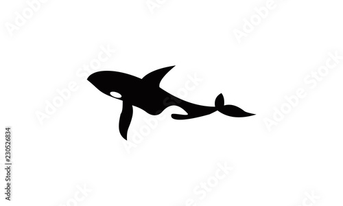 white whale vector