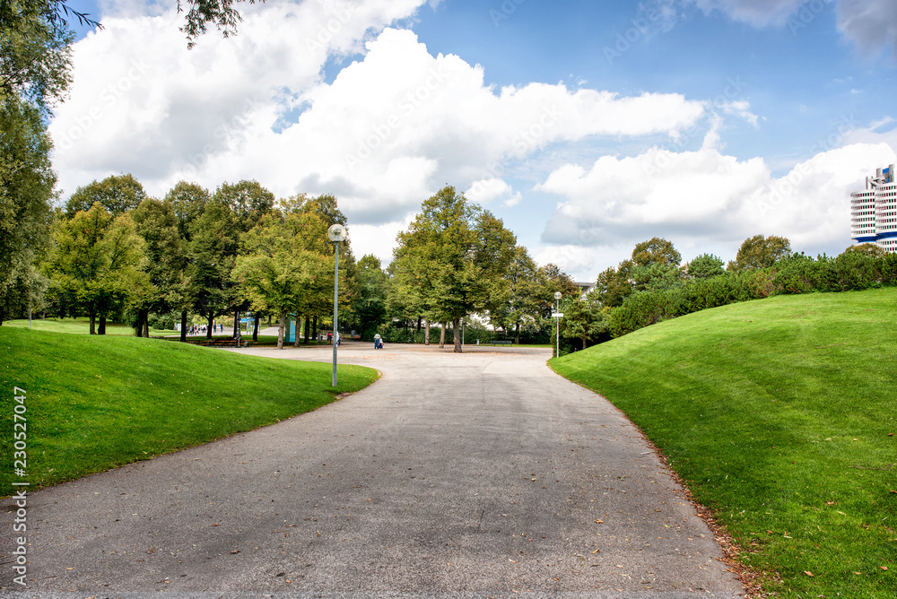 Lawn, trees and path in summer park.