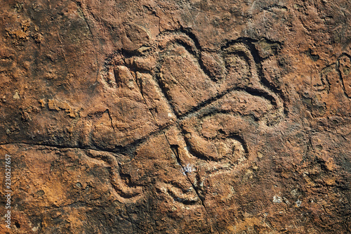 Fototapeta Rock paintings of ancient civilizations