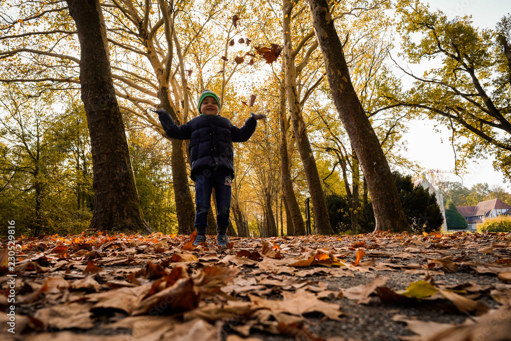 Kind , Junge wirft Laub hoch, Herbst, Winter im Park am Wasser und Schloss. Kind , Junge wirft Laub hoch, Herbst, Winter im Park am Wasser und Schloss.