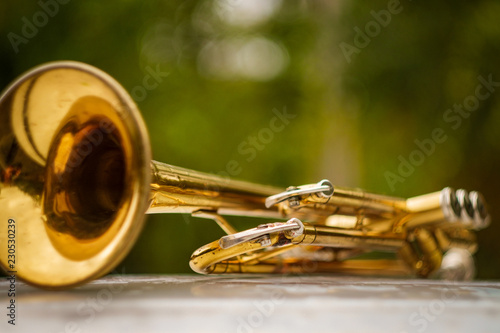 Photography Jazz Trumpet Nature