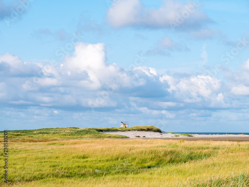 Salt marshes and dunes with sand couch and marram grass in nature reserve Boschplaat on Frisian island Terschelling, Netherlands photo