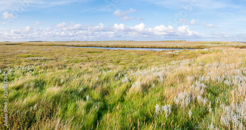 Panorama of salt marshes with stream, sand couch and marram grass and sea lavender in nature reserve Boschplaat on island Terschelling, Netherlands photo