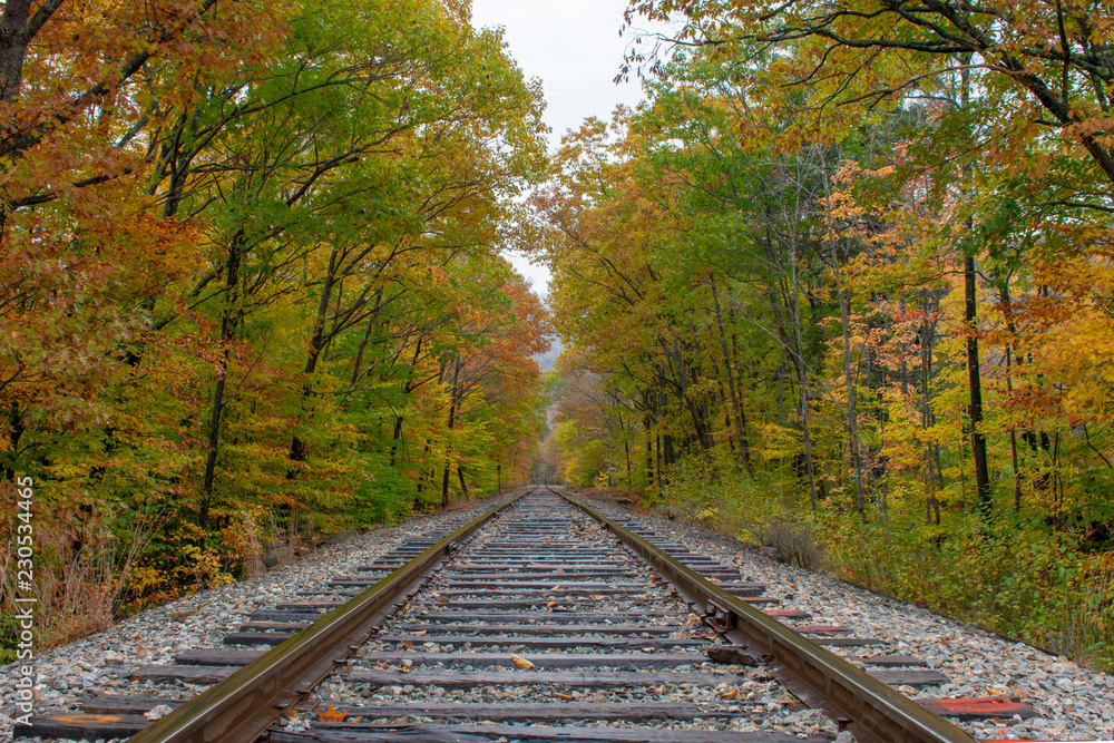 Railway tracks into the fall trees