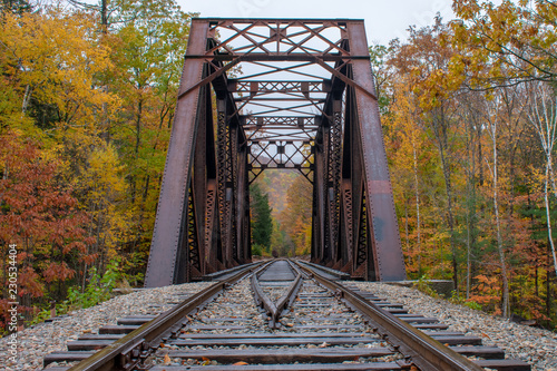 Railway bridge into the fall trees