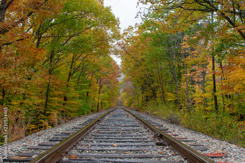 Railway tracks into the fall trees