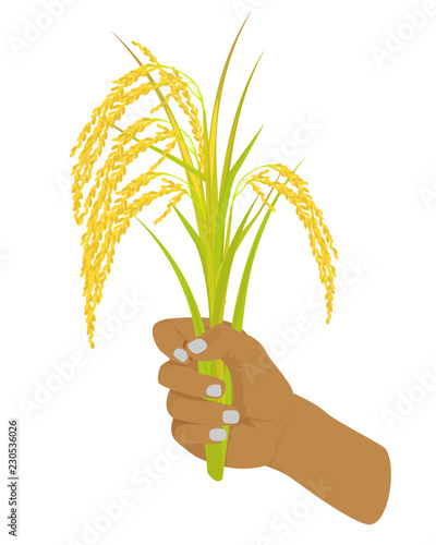 hand with rice vector design