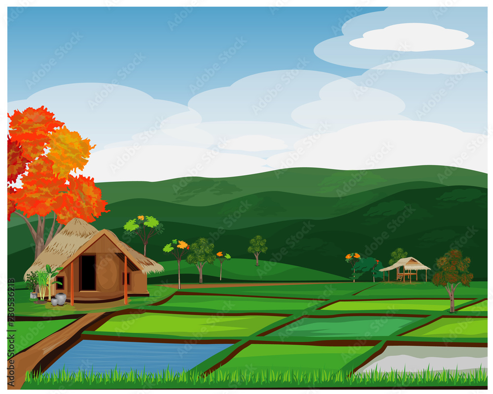large paddy field vector design