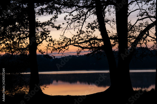 Trees Infront Of Beautiful Sunset © Tim