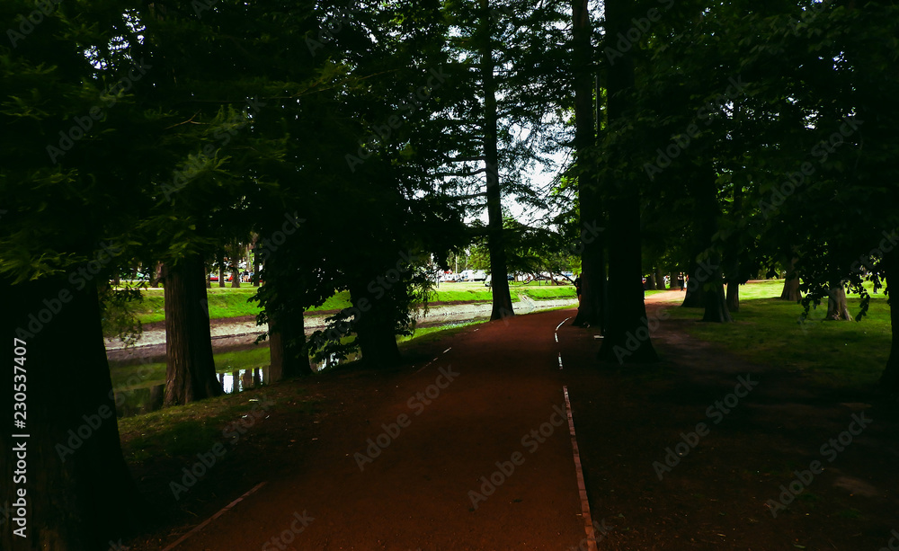 Obraz premium Ciudad verde