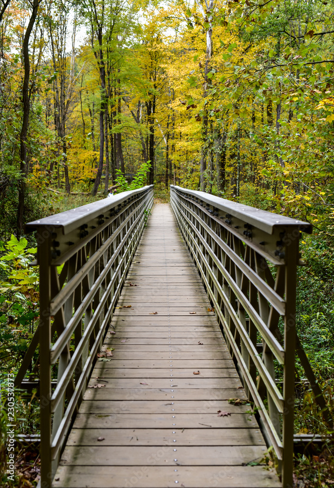 Obraz premium Footbridge in park