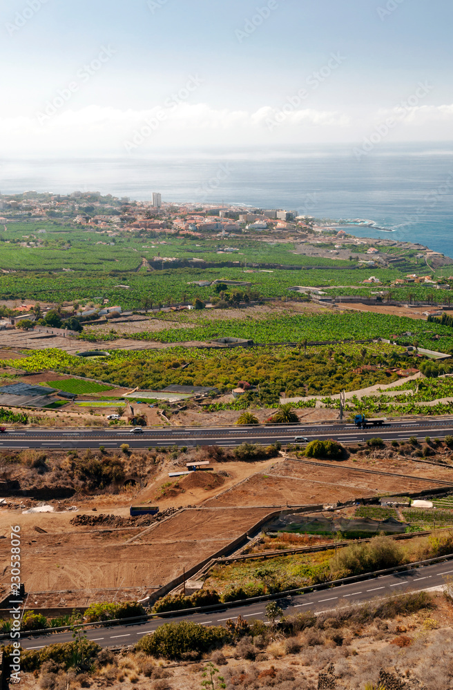 Vineyards on the island of Tenerife