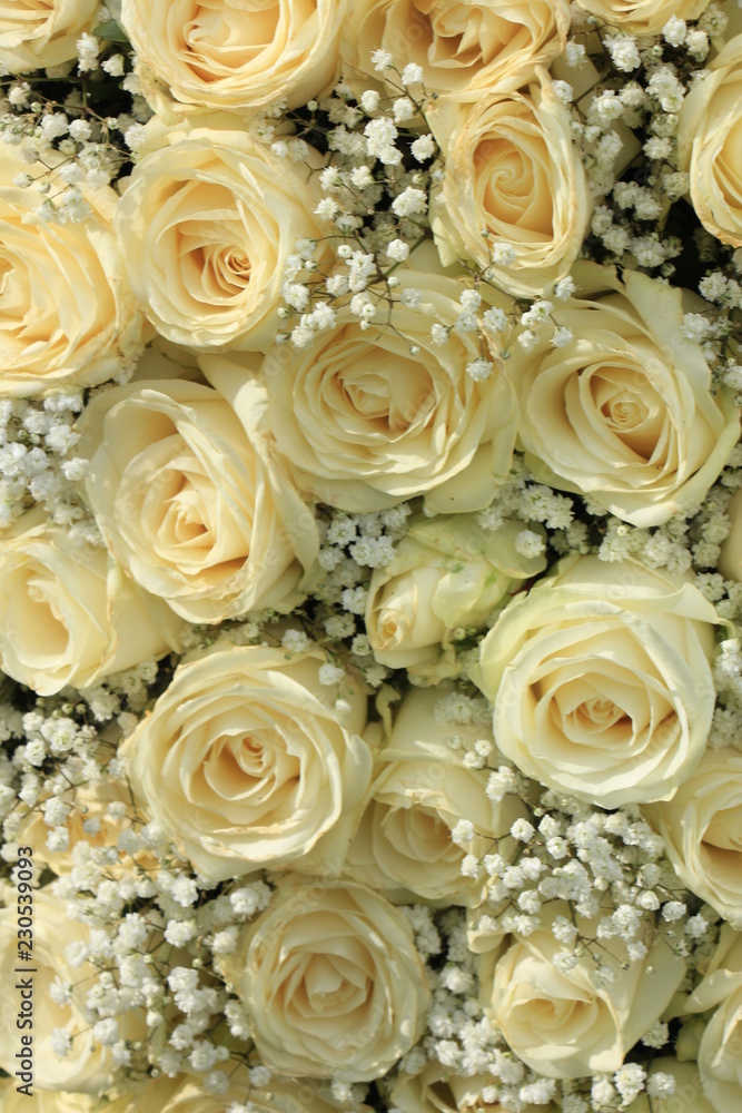 white rose and gypsophila bouquet white rose and gypsophila bouquet