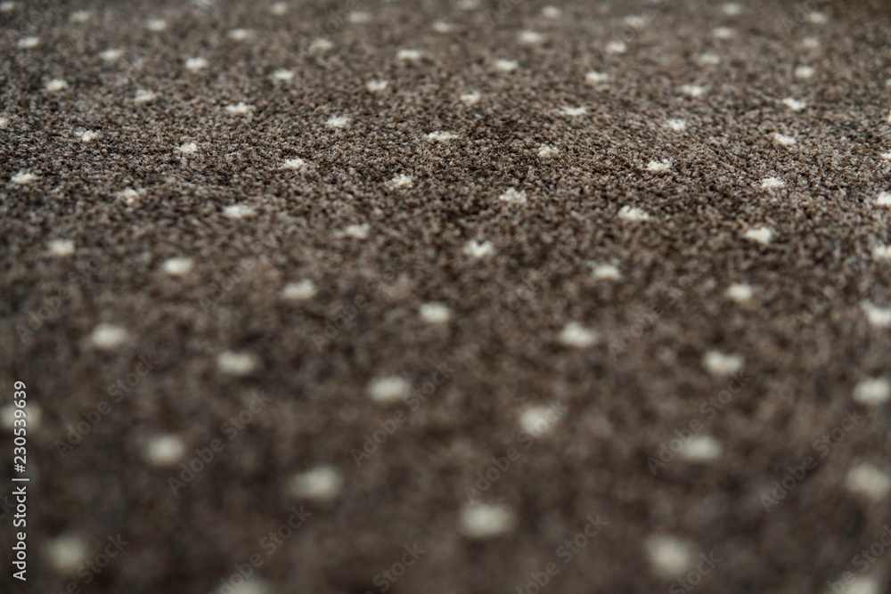 Brown carpet with a white dots texture. Indoor carpeting shoot in daylight. Brown carpet with a white dots texture. Indoor carpeting shoot in daylight.
