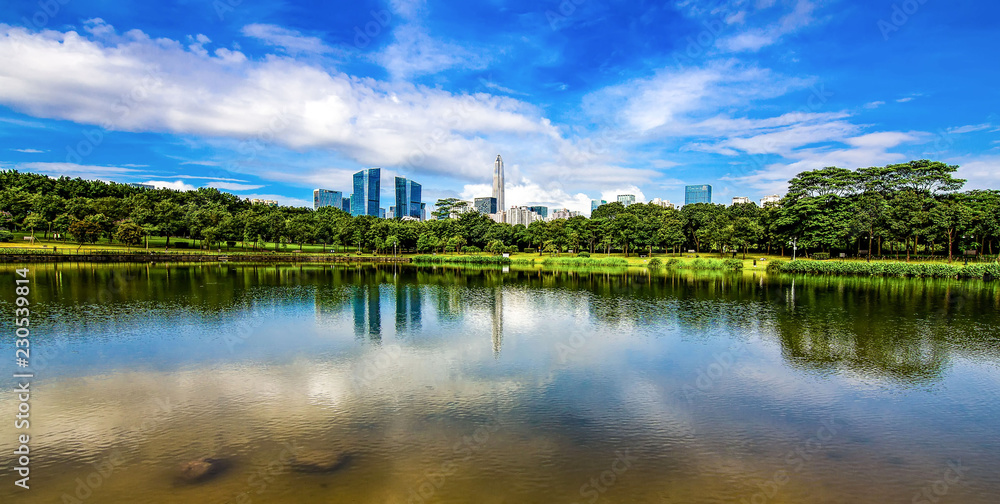 Fototapeta premium Krajobraz miejski w Shenzhen Central Park