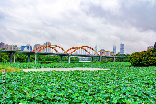 Urban Landscape of Honghu Park in Shenzhen