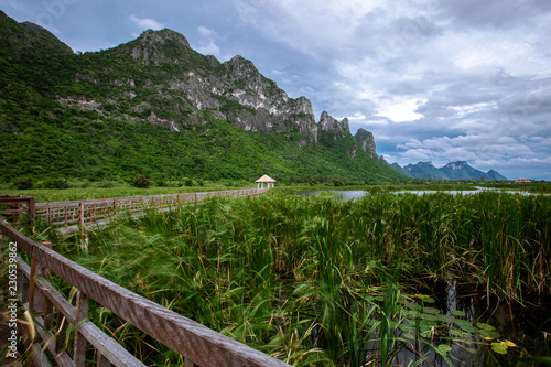 Backgrounds of green pastures, high mountains, large surrounds, natural wallpapers close. There is a long wooden bridge overlooking the surrounding scenery.