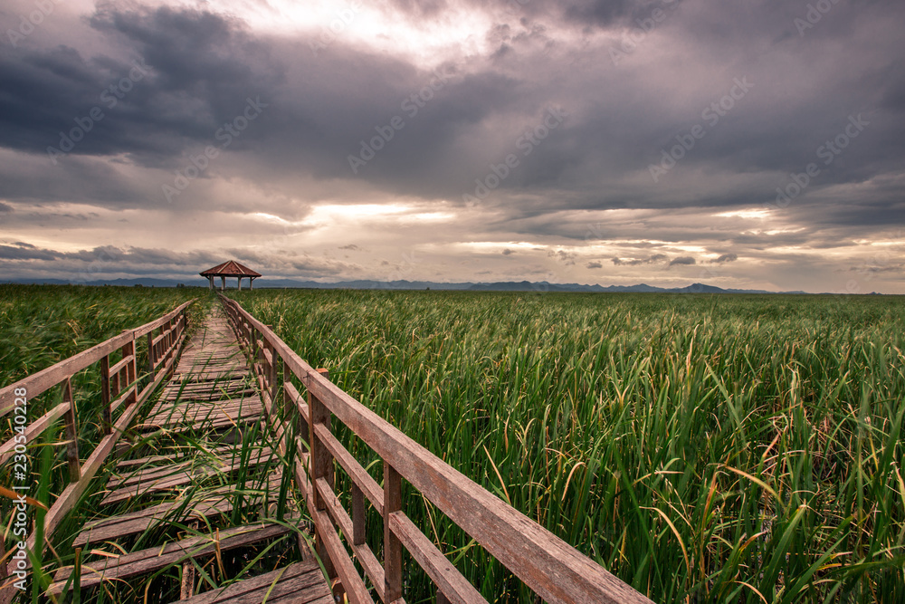 Backgrounds of green pastures, high mountains, large surrounds, natural wallpapers close. There is a long wooden bridge overlooking the surrounding scenery.