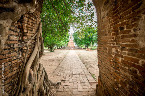 Wat Phra Ngam, Wat Phra Ngam Khlong Sua Bua, is one of Ayutthaya's oldest attractions, a place to study the history of the old city of Thailand, an old pagoda built of red bricks and strong durability photo