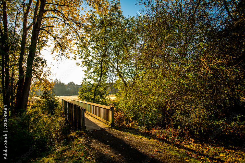Bridge Stock Photo Adobe Stock Bridge Stock Photo Adobe Stock