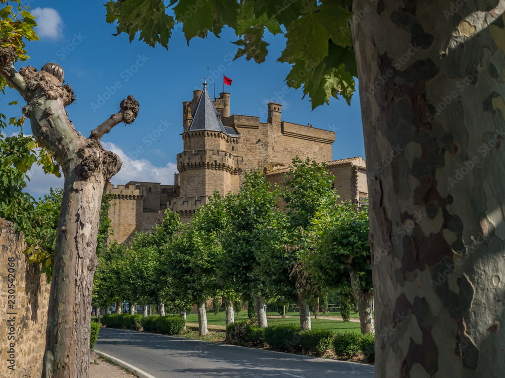 Hiszpania - 12 lipca 2018, Pałac królewski w Olite w słoneczny dzień - obrazy, fototapety, plakaty 