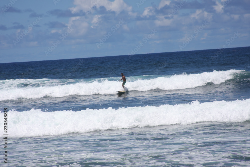 Barbados Surfer