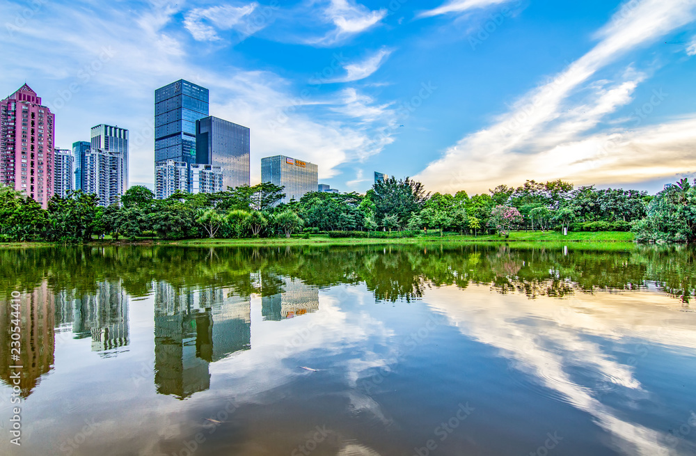 Urban Landscape of Shenzhen Central Park