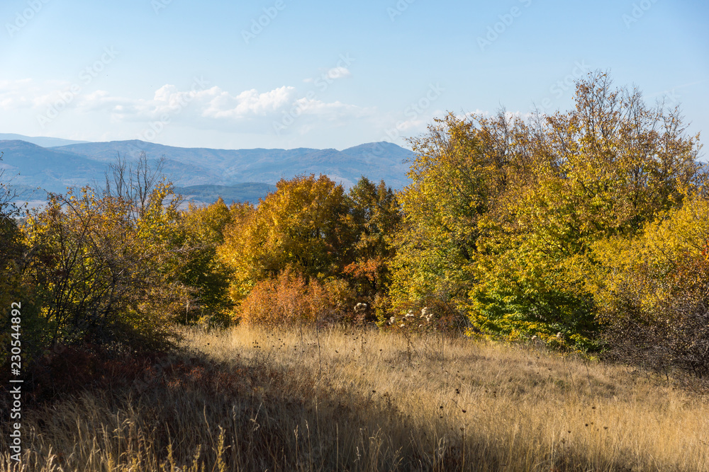 Amazing Autumn Panorama of Cherna Gora (Monte Negro) mountain, Pernik Region, Bulgaria Amazing Autumn Panorama of Cherna Gora (Monte Negro) mountain, Pernik Region, Bulgaria