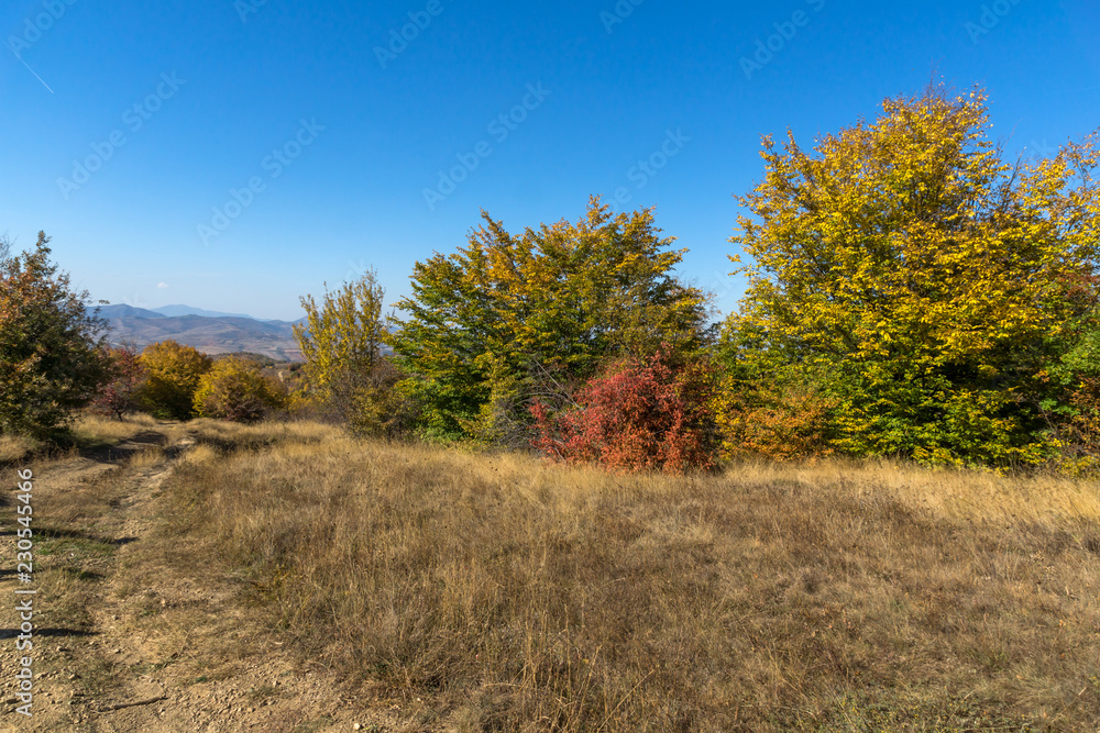 Amazing Autumn Panorama of Cherna Gora (Monte Negro) mountain, Pernik Region, Bulgaria Amazing Autumn Panorama of Cherna Gora (Monte Negro) mountain, Pernik Region, Bulgaria