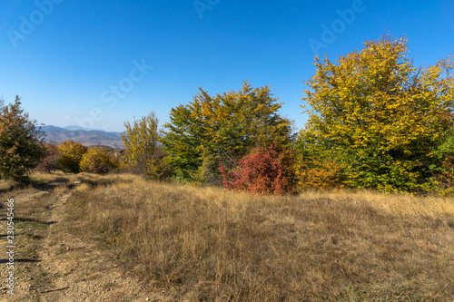 Amazing Autumn Panorama of Cherna Gora (Monte Negro) mountain, Pernik Region, Bulgaria