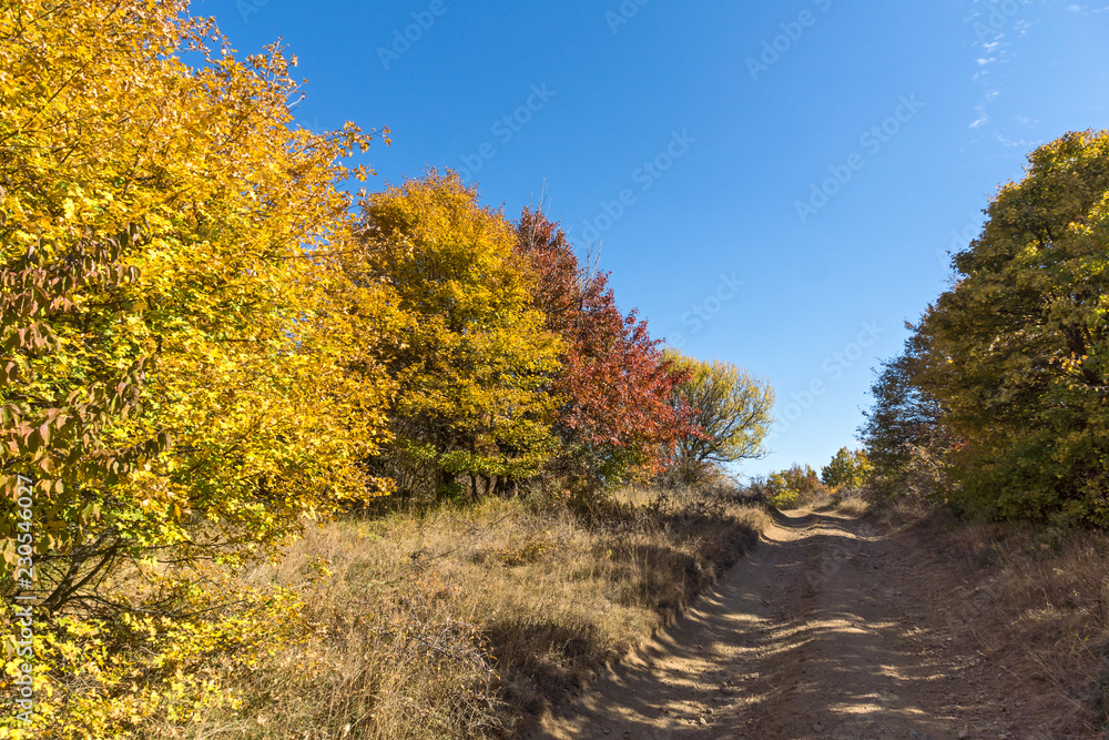 Fototapeta premium Amazing Autumn Panorama of Cherna Gora (Monte Negro) mountain, Pernik Region, Bulgaria